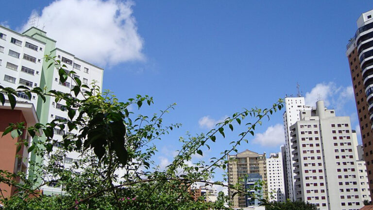 Imagem do céu de Santana com alguns prédios ao fundo e uma árvore próxima a câmera